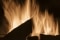 Illustration de flammes vacillantes dans une chaudière à combustible solide Viessmann.